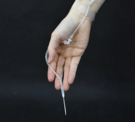 高名妍 首飾設(shè)計 本科預(yù)科